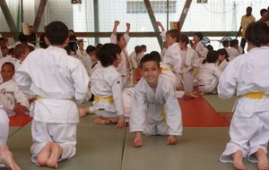 P1000800 - Copie.JPG