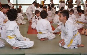 P1000801 - Copie.JPG