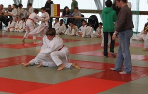 IMG_1897.JPG